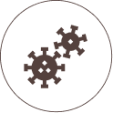 Vắc xin 3IN1